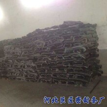 美国放宽误杀濒危物种的法律责任：“无意中杀害”将被允许