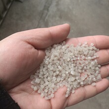 男子“口嗨”能打赢黑猩猩 有人真出50万美元约他搏斗
