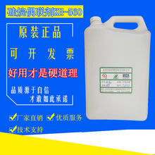 全球首组成年霸王龙行走足迹化石现世：共4个三趾脚印 每个近1米长