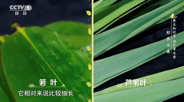 大量特斯拉车主开着FSD在路上睡觉 美众议员致信交通部要求制止